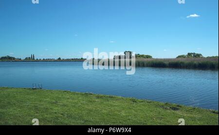 Dutch landscape in the summertime with flowers and plants Stock Photo Dutch landscape in the summertime with flowers and plants Stock Photo