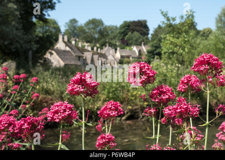 Pretty village in the Cotswolds. Picturesque Arlington Row cottages photographed across the water meadow, with red valerian flowers in the foreground. Stock Photo