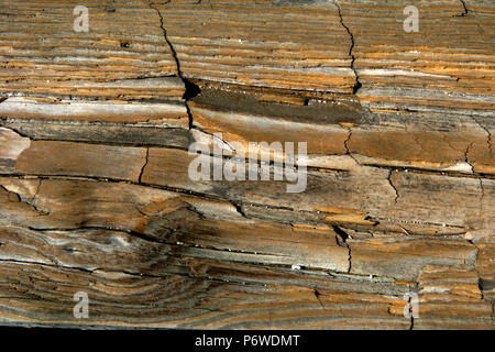 Wood grain on planking with cracks and character. Stock Photo