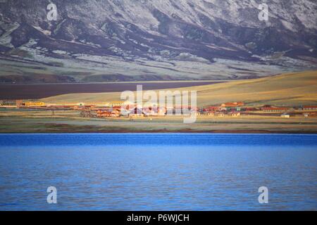 Zhangye, Zhangye, China. 3rd July, 2018. Zhangye, CHINA-Wild ducks gather at Luanniao Lake in Shandan Horse Farm, northwest China's Gansu Province. Credit: SIPA Asia/ZUMA Wire/Alamy Live News Stock Photo