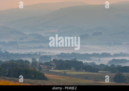 Yorkshire Dale, UK. 3rd July, 2018. Another glorious day bekons after the early morning mist in the Yorkshire Dale National Park around Semerwater, Wensleydale. Credit: Wayne HUTCHINSON/Alamy Live News Stock Photo