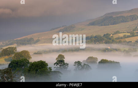 Yorkshire Dale, UK. 3rd July, 2018. Another glorious day bekons after the early morning mist in the Yorkshire Dale National Park around Semerwater, Wensleydale. Credit: Wayne HUTCHINSON/Alamy Live News Stock Photo