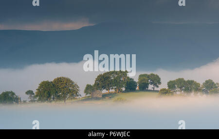 Yorkshire Dale, UK. 3rd July, 2018. Another glorious day bekons after the early morning mist in the Yorkshire Dale National Park around Semerwater, Wensleydale. Credit: Wayne HUTCHINSON/Alamy Live News Stock Photo