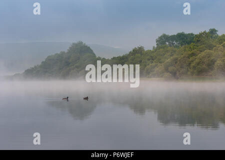 Yorkshire Dale, UK. 3rd July, 2018. Another glorious day bekons after the early morning mist in the Yorkshire Dale National Park around Semerwater, Wensleydale. Credit: Wayne HUTCHINSON/Alamy Live News Stock Photo