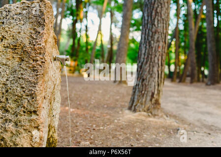 Faucet in natural water fountain in the forest Stock Photo - Alamy