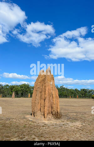 A large cathedral termite mounds in a field at Bramwell Junction, Cape York Peninsula, Far North Queensland, FNQ, QLD, Australia Stock Photo