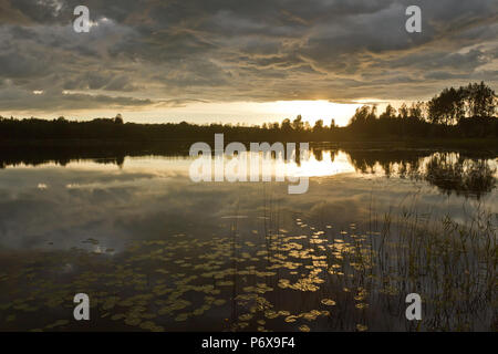 Beautiful rainbow in sunset, Latvia Stock Photo