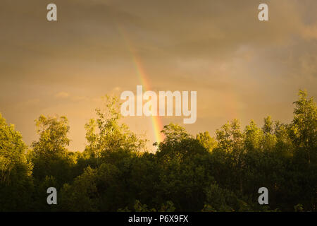 Beautiful rainbow in sunset, Latvia Stock Photo