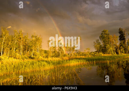 Beautiful rainbow in sunset, Latvia Stock Photo