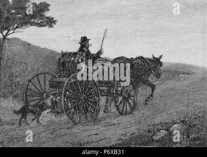 Olden Days Rabbit Catching The rabbit man - Hunter with rabbits in village, circa 1850 Stock Photo ...