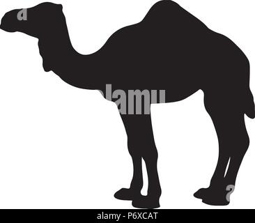 black and white vector silhouette of a camel Stock Vector