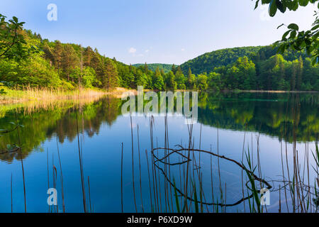 Croatia, Dalmatia, Plitvice lakes national parkk. boardwalk through the high lakes Stock Photo