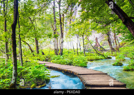 Croatia, Dalmatia, Plitvice lakes national parkk. boardwalk through the high lakes Stock Photo
