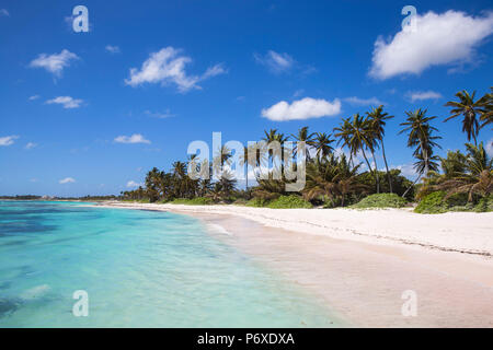 Dominican Republic, Punta Cana, Playa Blanca Stock Photo