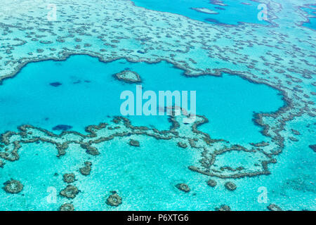 Heart reef in the Great Barrier Reef from above, Queensland, Australia. Stock Photo
