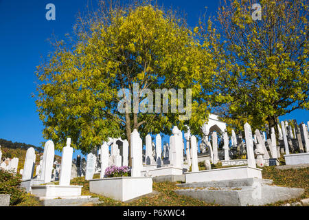 Bosnia and Herzegovina, Sarajevo, Alifakovac, Alifakovac Cemetery , where Muslim foreigners are buried Stock Photo