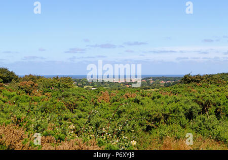 A view towards Cley Next the Sea across heathland on the Blakeney esker at Wiveton Downs, Wiveton, Norfolk, England, United Kingdom, Europe. Stock Photo