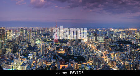 Japan, Tokyo, Aerial view of cityscape and Tokyo Tower