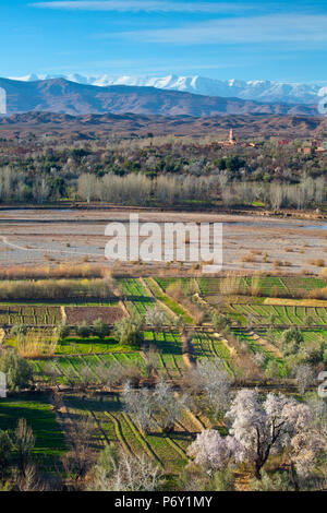 View from El-Kelaa M'Gouna towards the High Atlas Mountains, Morocco, RF Stock Photo