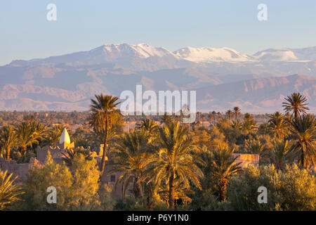 View from Palmery towards Atlas Mountains  at sunrise, Skoura, Morocco, RF Stock Photo
