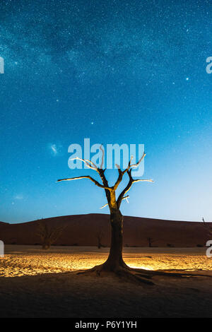 Deadvlei, Namib-Naukluft National Park, Namibia, Africa. Dead acacia trees at night. Stock Photo