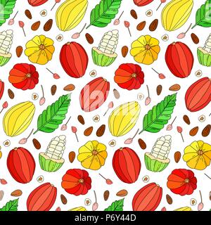 Cocoa fruit vector seamless pattern, Hand drawn tropical cacao fruit, leaf, seed and flower isolated on the white background, doodle illustration Stock Vector