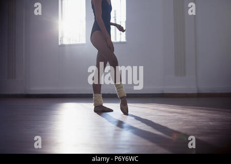 Graceful young female ballet dancer practicing in dance studio Stock Photo