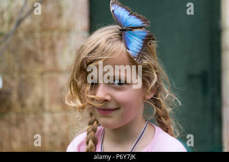 Portrait of a happy girl with a blue butterfly in her hair. Medium close up. Focus on foreground. Stock Photo