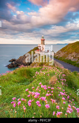 Baily lighthouse, Howth, County Dublin, Ireland, Europe. Stock Photo