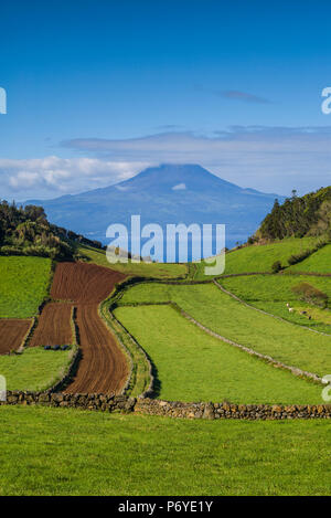 Portugal, Azores, Sao Jorge Island, Rosais of fields and the Pico Volcano Stock Photo