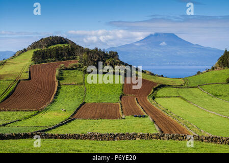 Portugal, Azores, Sao Jorge Island, Rosais of fields and the Pico Volcano Stock Photo