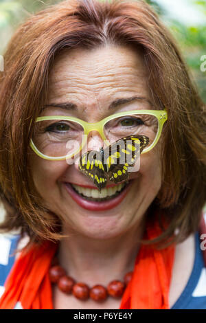 Butterfly resting on the tip of a woman's nose. Close up. Portrait. Stock Photo