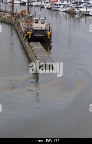oil pollution on the surface of the sea at Lymington marina, new forest. Stock Photo