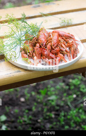 Fresh crayfish boiled with spices and dill served on a round dish. Stock Photo