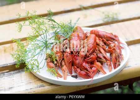Fresh crayfish boiled with spices and dill served on a round dish. Stock Photo