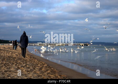 Sea, sea birds fly, people walk on sandy beach, cold weather, cloudy sky, people dressed in jackets and hats Stock Photo