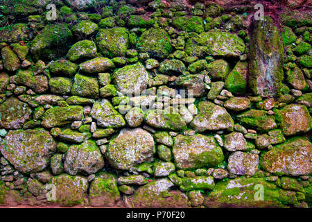Grunge stone wall irregular pattern close-up covered with colorful moss and lichens- texture or background Stock Photo