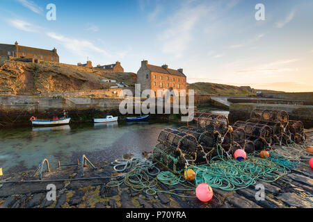Lobster pots in the harbour at Keiss near Wick in Caithness on the north east coast of Scotland Stock Photo
