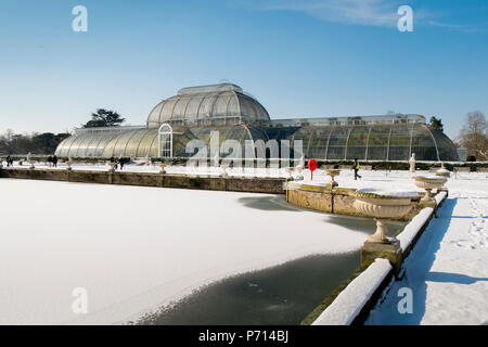 Palm House in winter, Kew Gardens, UNESCO World Heritage Site, London, England, United Kingdom, Europe Stock Photo