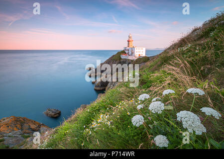 Baily Lighthouse, Howth, County Dublin, Republic of Ireland, Europe Stock Photo