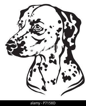 Decorative outline portrait of Dog Dalmatian in profile, vector ...