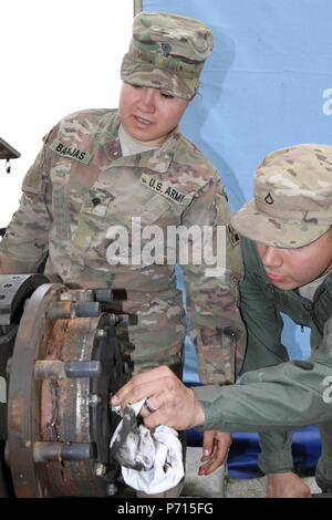 Spc. Laura Barajas, left, a Dallas-Fort Worth native and a wheeled vehicle mechanic, and Pfc. Corey Smith, a Littleton, Colorado native and an M1A2 Abrams main battle tank system maintainer, both from 64th Brigade Support Battalion, 3rd Armored Brigade Combat Team, 4th Infantry Division, conduct maintenance on a palletized load system while conducting maintenance at the Dragonkasernen, Denmark, May 11, 2107. The Soldiers are preparing vehicles to support a tank team from the brigade’s 1st Battalion, 66th Armor Regiment, at the Nordic Tank Challenge competition from May 15-18. Stock Photo