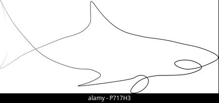 Shark one line. Vector illustration. Isolated white background. Stock Vector