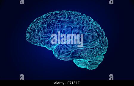 Blue wireframe brain glowing on dark space background Stock Vector