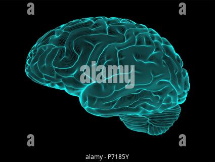 Blue wireframe brain glowing on dark space background Stock Vector