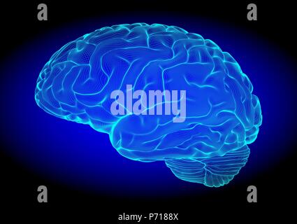 Blue wireframe brain glowing on dark space background Stock Vector