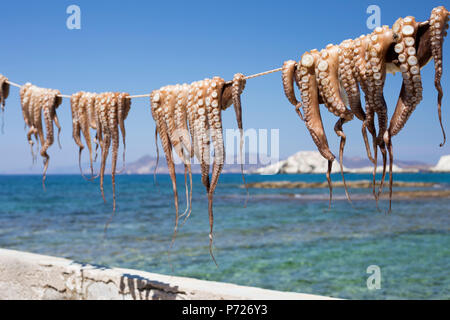 Drying Octopus Mandrakia Milos Cyclades Aegean Sea Greek Islands