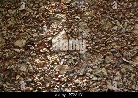 Shell stone texture. background shell rock Stock Photo