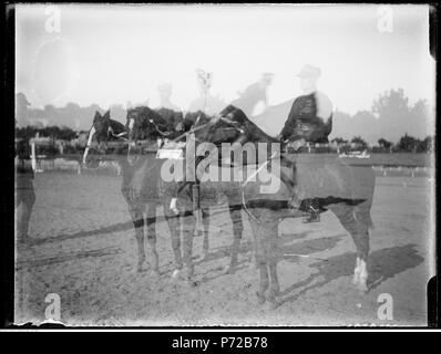 74 Narcyz Witczak-Witaczyński - Zawody konne (107-990-3) Stock Photo
