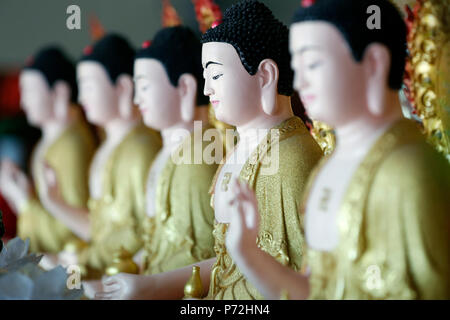 Row of Buddha statues, Hoi Tuong Te Nguoi Hoa Buddhist Chinese temple, Phu Quoc, Vietnam, Indochina, Southeast Asia, Asia Stock Photo